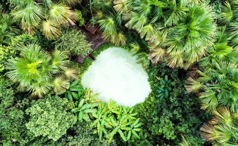 Inverter rotas e horários garante mergulhos sem filas nos fervedouros do Jalapão