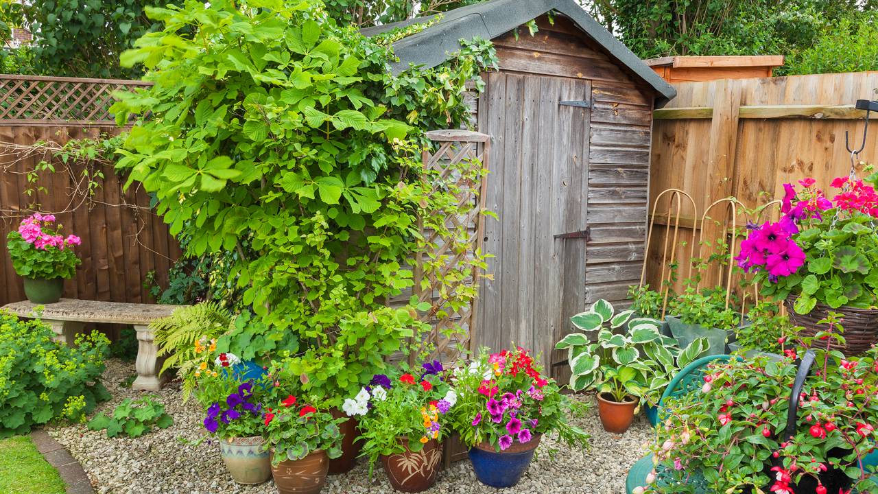 are de gastar horas com mangueira e enxada no sol forte. Confira o segredo do solo drenante e conquiste um ambiente de luxo com poucos centavos agora mesmo.