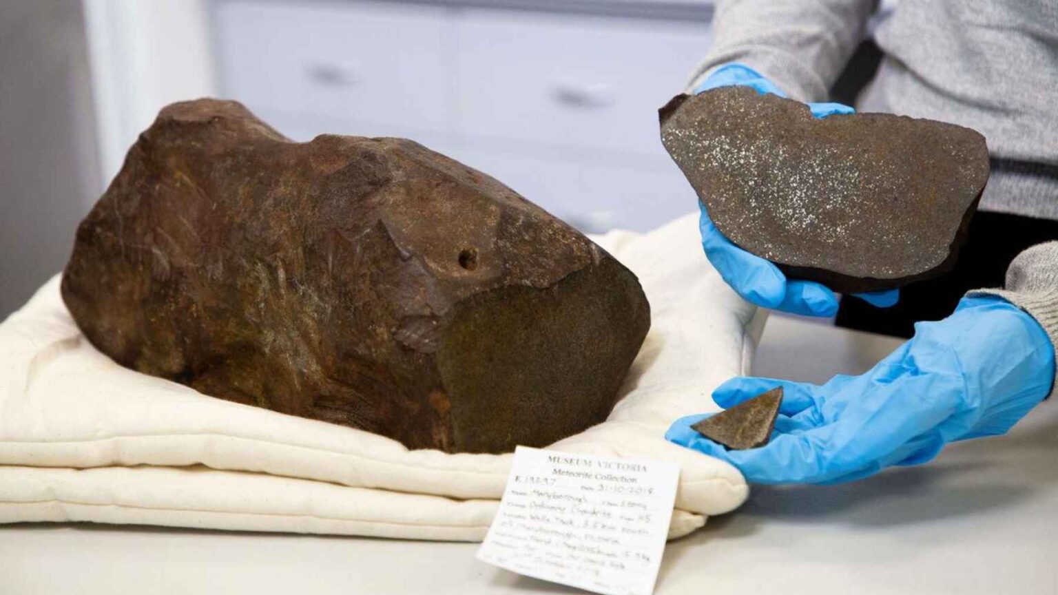 Os geólogos Bill Birch e Dermot Henry, dos Museus Victoria, acompanhados por Andrew G. Tomkins, da Universidade Monash, testaram a pedra e confirmaram que era um meteorito.