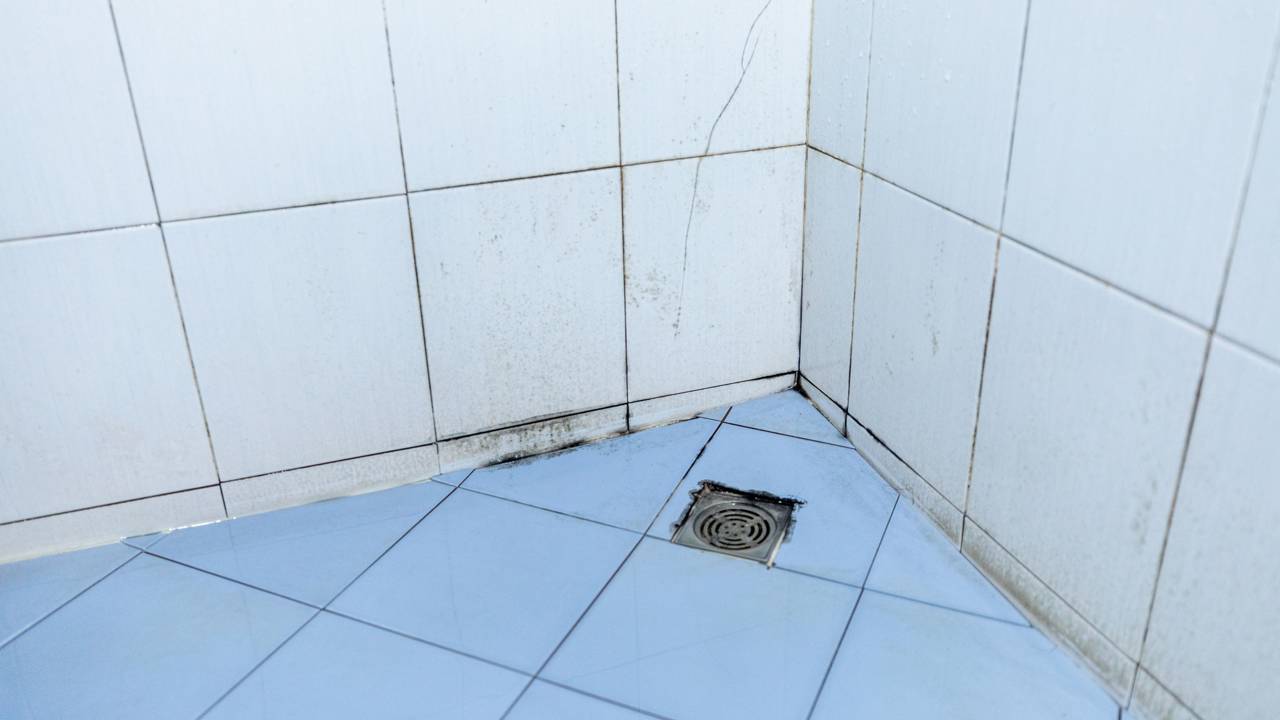 Confira o segredo da limpeza por selo hídrico e conquiste um banheiro de luxo com poucos centavos agora.