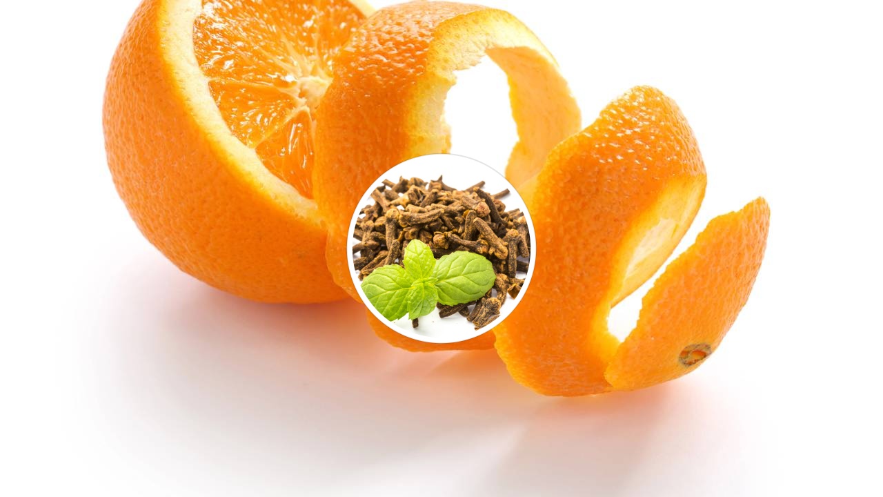 Saiba como a mistura de laranja e cravo transforma sua rotina e protege o bem-estar da sua família.