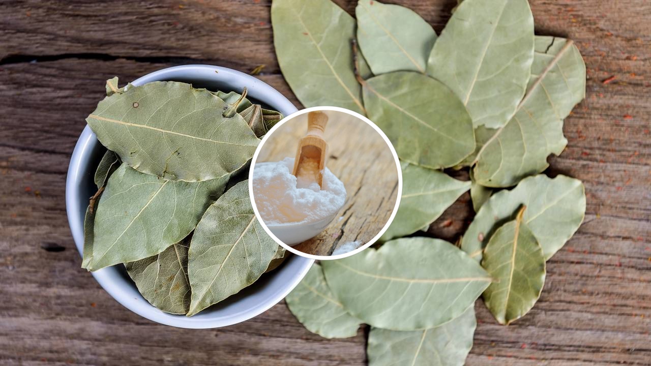 A mistura de proteção e aroma que substitui os sprays e protege o bem-estar da sua família