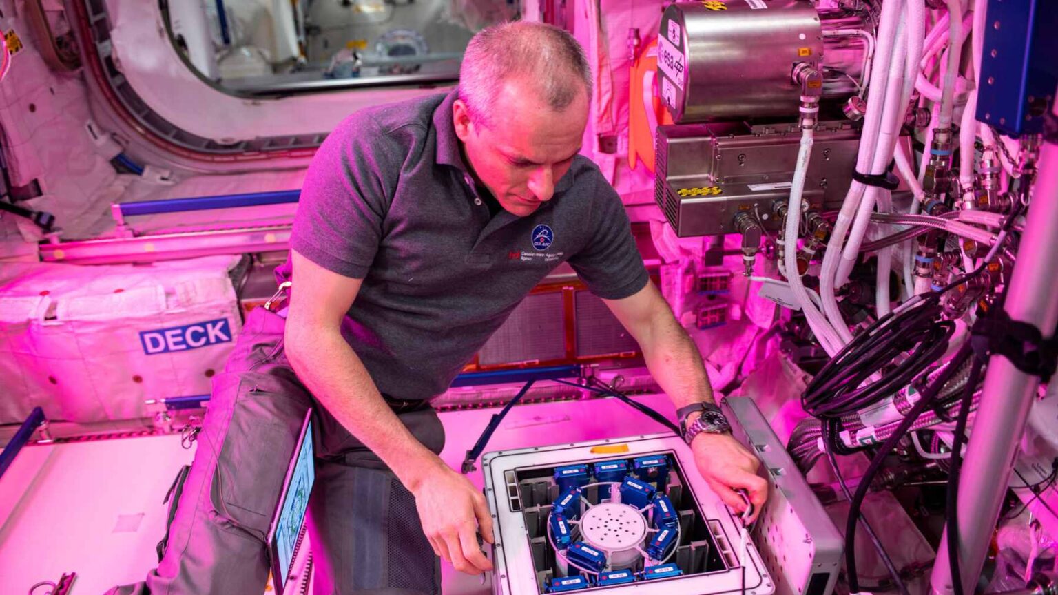 E se a próxima grande “ferramenta de mineração” não for uma broca ou laser, mas um organismo vivo do tamanho de um grão de poeira?