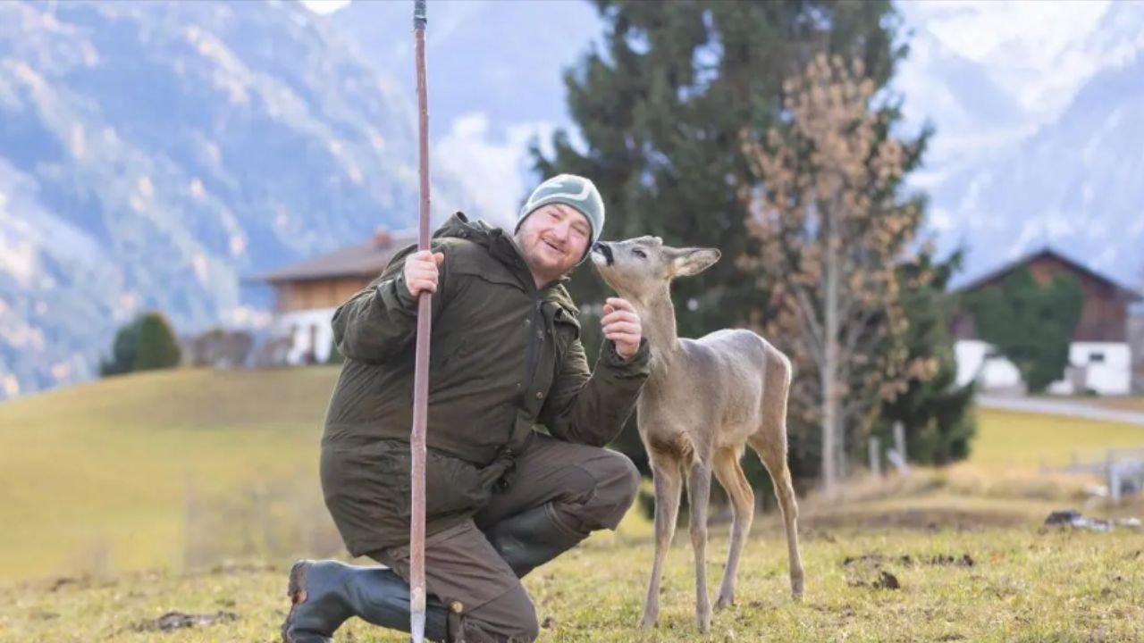 A história de Herkules, o veado-vermelho da Alemanha, tornou-se um símbolo da complexa relação entre o homem e a vida selvagem. /Créditos: (Foto: Martin Huber)