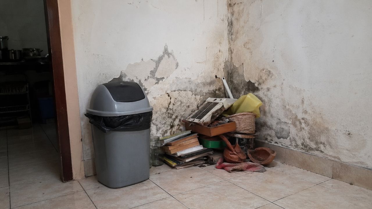 Rituais de abundância exigem ordem e limpeza para preservar o simbolismo de crescimento e estabilidade financeira.