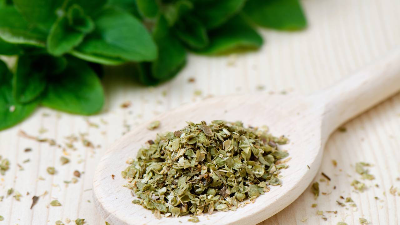 Orégano funciona? A ciência por trás das ervas aromáticas no combate às baratas domésticas