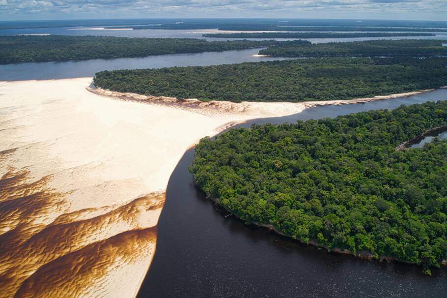 O Brasil detém a maior biodiversidade do mundo e enfrenta o crescimento de desafios climáticos