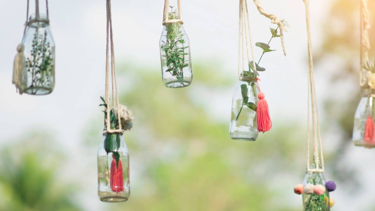 Sofisticação na transparência. Adote as plantas em água para um lar mais leve, limpo e conectado.