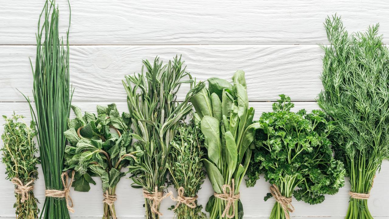 Quer uma casa vibrante e com energia renovada? Esse guia de infusão botânica é o biohack que faltava pra sua rotina de bem-estar doméstico.