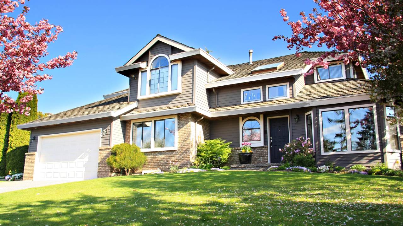 Por que elas não perdem as folhas? A ciência da perenidade e o impacto do verde na saúde mental de quem chega em casa.