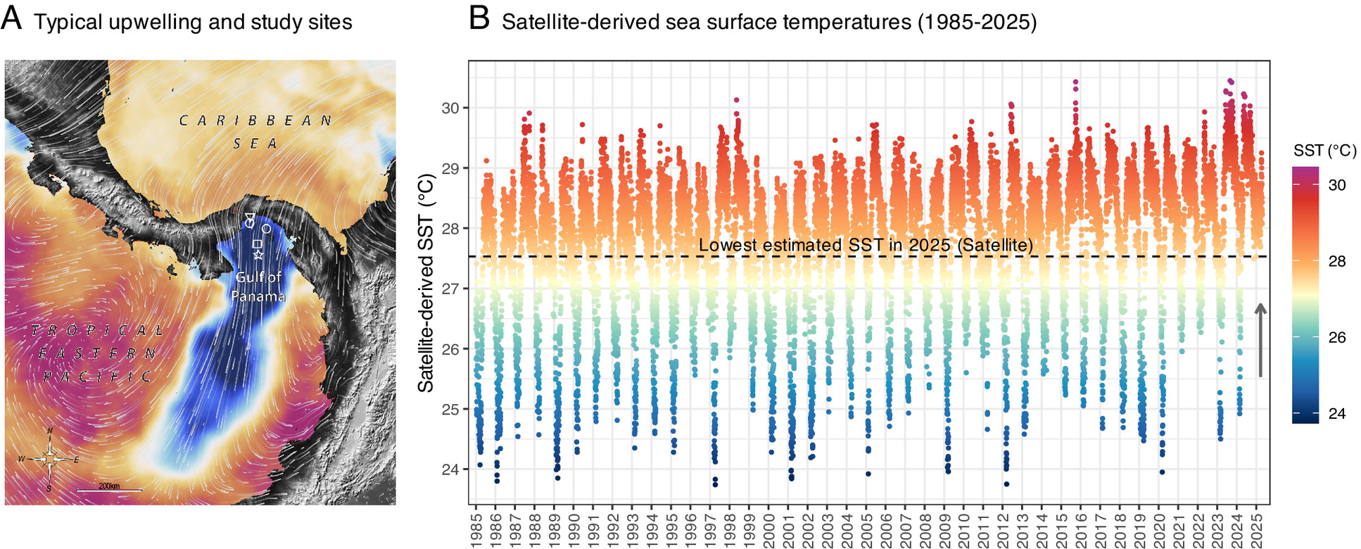 O levantamento de jatos eólicos no Partido Republicano. (A) Vetores típicos de vento e SST através da baixa topográfica no Istmo do Panamá mostrando temperaturas reduzidas da superfície do mar no Golfo (4 de fevereiro de 2019). Símbolos indicam sensores de temperatura (círculos), perfis de temperatura (estrela), estação de vento (triângulo) e região de dados de satélite (quadrado). (B) SST diário derivado de satélites 1985–2025. Linha tracejada mostra o menor SST em 2025 (27,5 °C); Seta cinza indica 2025 anômalo.