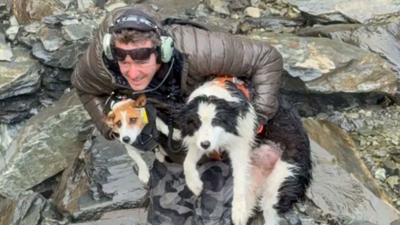 A tecnologia otimiza o resgate de animais em áreas remotas. / Foto: (Fonte/CNN Newsource)