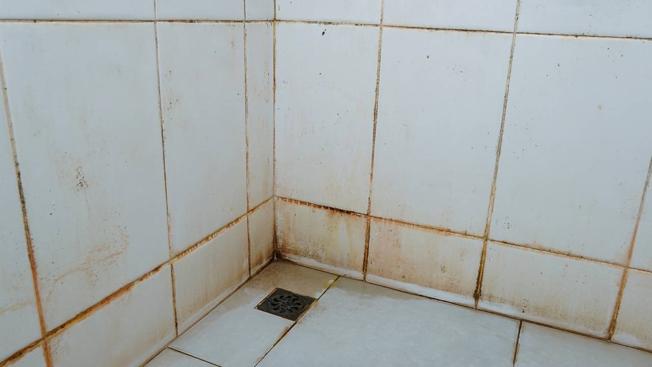 Esse método simples ajuda a limpar rejunte escuro e manter o banheiro com aparência renovada por mais tempo.