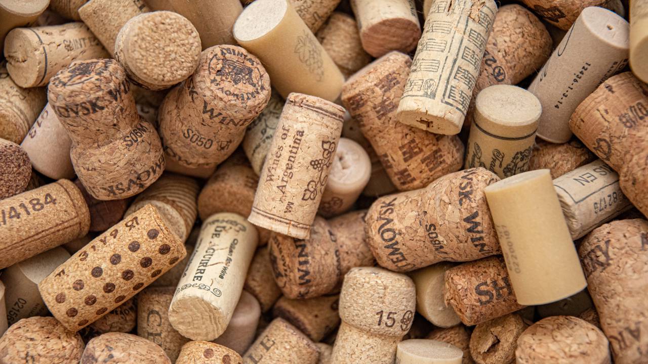 Uma vida equilibrada exige soluções inteligentes para o reaproveitamento de materiais. Saiba como a parafa na lava-louças transforma sua rotina e protege seu bolso.