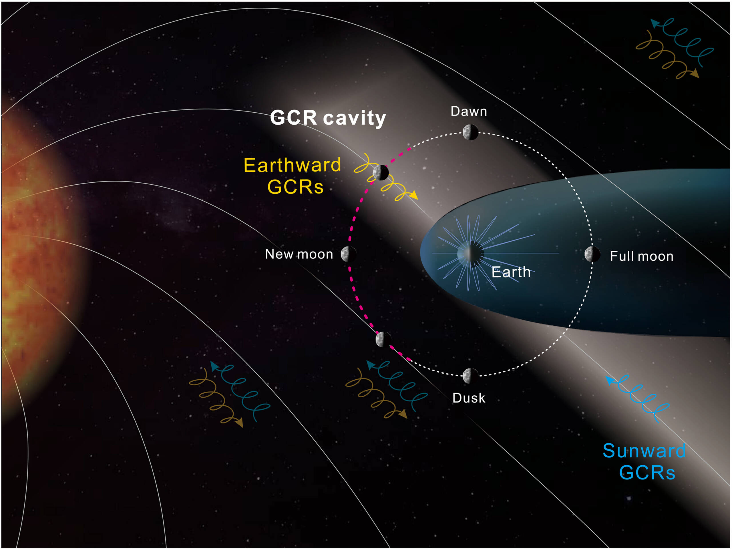 As linhas brancas do Sol apresentam o padrão típico de linhas de campo magnético no espaço interplanetário, conhecido como FMI espiral de Parker. O segmento magenta da órbita lunar (círculo branco tracejado) indica os períodos operacionais do LND, especificamente de LP = 7,5 a 16,5 hM. As espirais cilíndricas em duas cores indicam duas direções opostas de movimento para prótons GCR ao longo das linhas do campo magnético. Protegidas pelo campo magnético da Terra, espera-se que existam duas regiões de GCRs reduzidos no espaço próximo à Terra, conforme marcado pelas áreas sombreadas. Quando a Lua se move para o setor da tarde, o ângulo (φ) entre o IMF e o vetor Terra-Lua atinge 90° em LP = ∼16 hM, permitindo que a propagação dos GCRs permaneça sem obstáculos no setor da tarde.