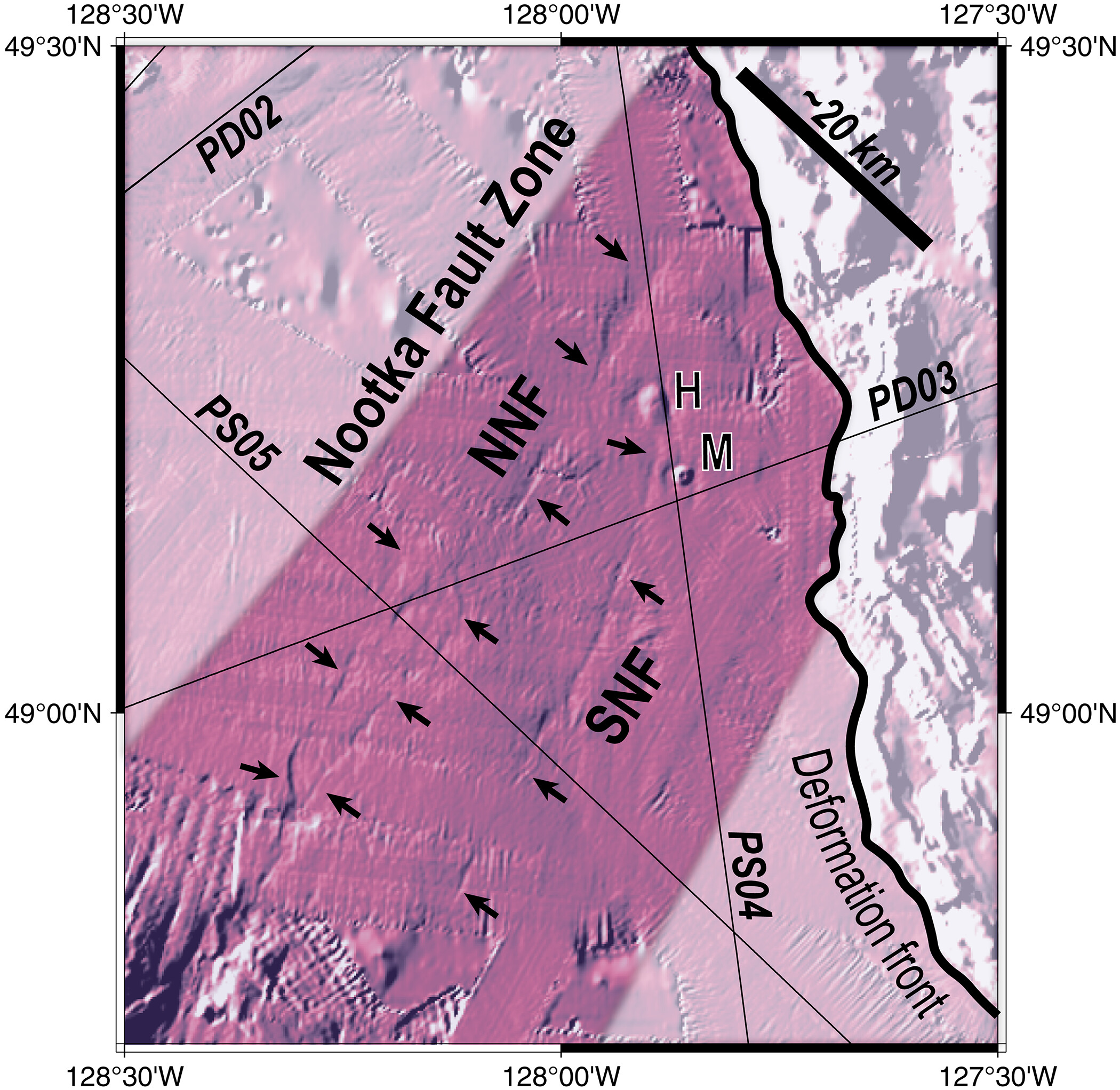 Mapa dos escarpas do fundo do mar associadas à deformação ativa da Zona de Falha de Nootka (NFZ). A sombreamento de cor representa o gradiente da batimetria do fundo oceânico, calculado a partir de um azimute de 300° no sentido horário a partir do norte, usando a grade da Topografia Global Multi Resolution versão 4 (89). Os escarpamentos da Falha Nootka do Norte (NNF) e da Falha Nootka do Sul (SNF) apresentam uma tendência média de ~N28°E. H, Monte Haggis; M, Maquinna Mound. Note que a zona de deformação é mais larga no sudoeste e se estreita em direção à frente de deformação no nordeste.