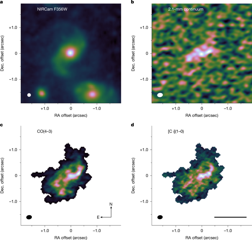 A espiral barrada gigante J0107a em z = 2,467 a, imagem JWST NIRCam F356W. b, imagem contínua ALMA 2.1 mm. c, intensidade integrada à velocidade da linha CO(4–3). d, [C i](1–0) intensidade de linha integrada à velocidade. A elipse no canto inferior esquerdo de cada painel mostra o feixe com metade do máximo de largura total.
