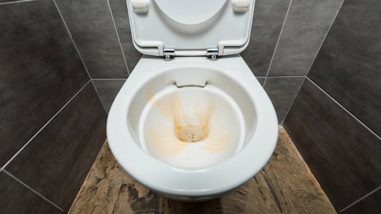 Pare de gastar com produtos de cheiro forte que irritam o nariz. Confira o segredo da reação cítrica e conquiste um banheiro de revista.