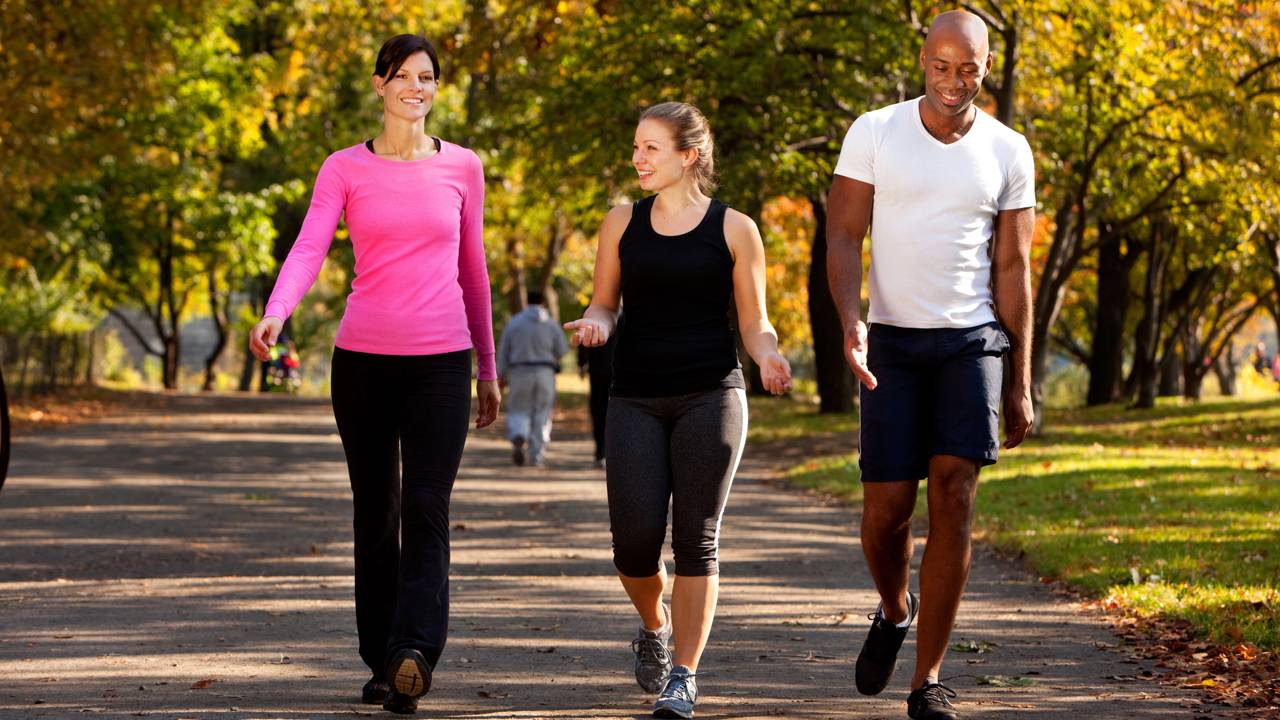 Caminhar todos os dias: descubra quantas calorias queima, como ajuda a emagrecer com baixo impacto e por que é ideal para iniciantes.
