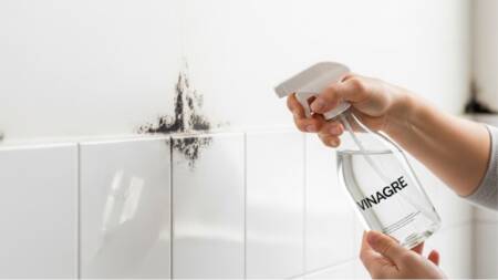 O vinagre é eficaz para eliminar esporos de mofo e combater a umidade