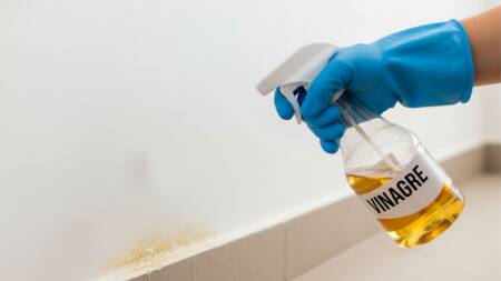 A aplicação de vinagre pode ajudar a prevenir o crescimento de mofo em áreas úmidas