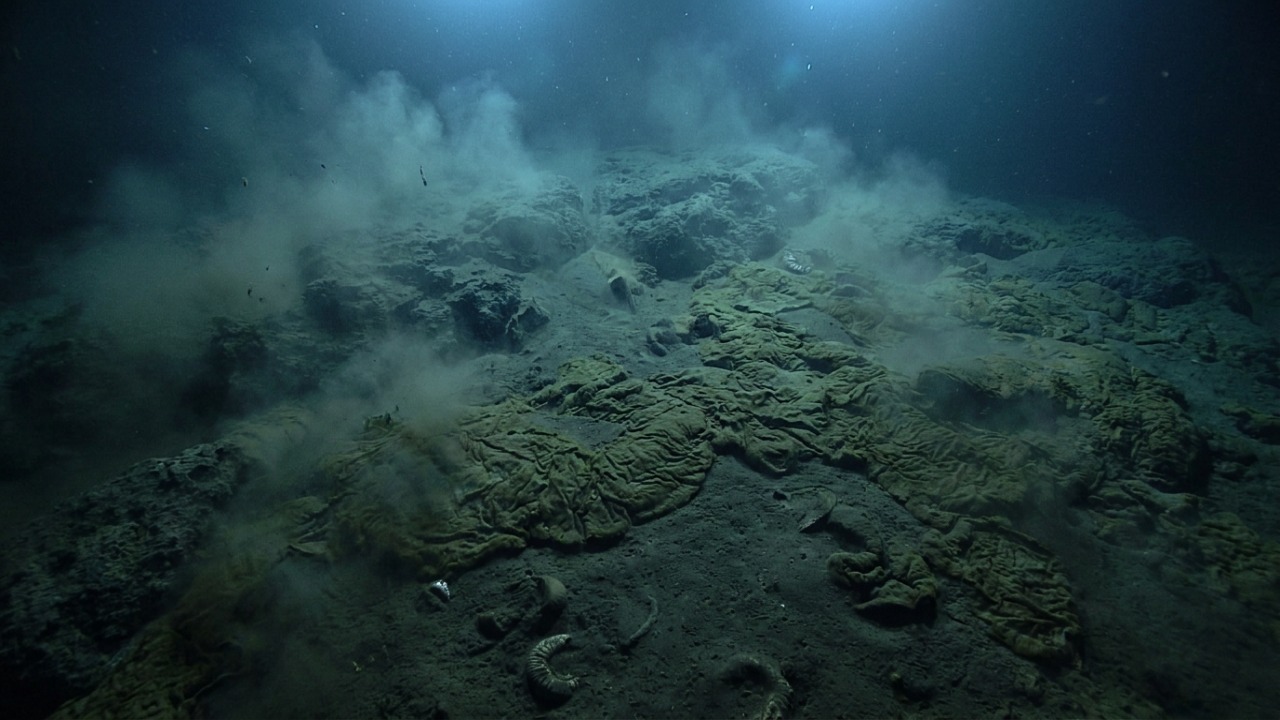 Pesquisadores descobrem que marcas em rochas marroquinas foram criadas por ecossistemas microbianos ancestrais no fundo do mar.