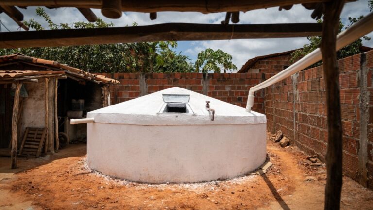 Uma piscina em um canteiro de obras em São Paulo pode parecer o último lugar para saciar a sede do sertão brasileiro.