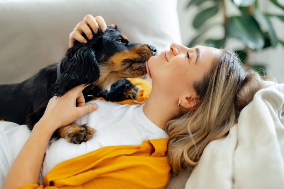 Wanda combina bastante com cadelas carinhosas, expressivas e que demonstram forte apego aos tutores (Imagem: Kateryna Onyshchuk | Shutterstock)