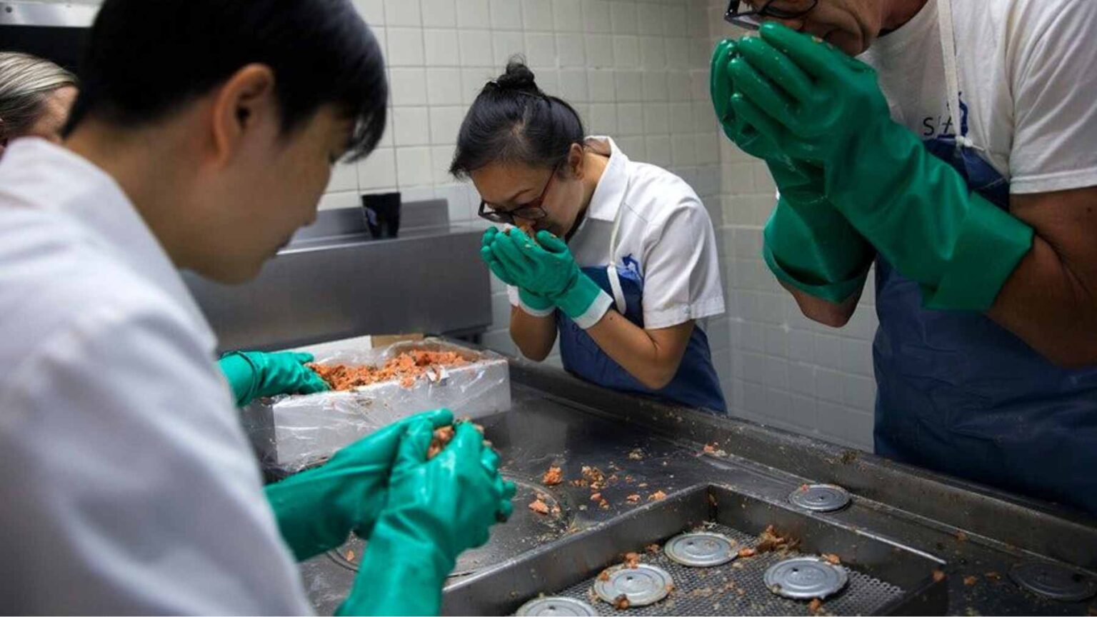 Ao analisar 178 latas de salmão do Alasca ao longo de 42 anos, os pesquisadores usaram parasitas preservados para reconstruir mudanças históricas na conectividade da teia alimentar marinha.