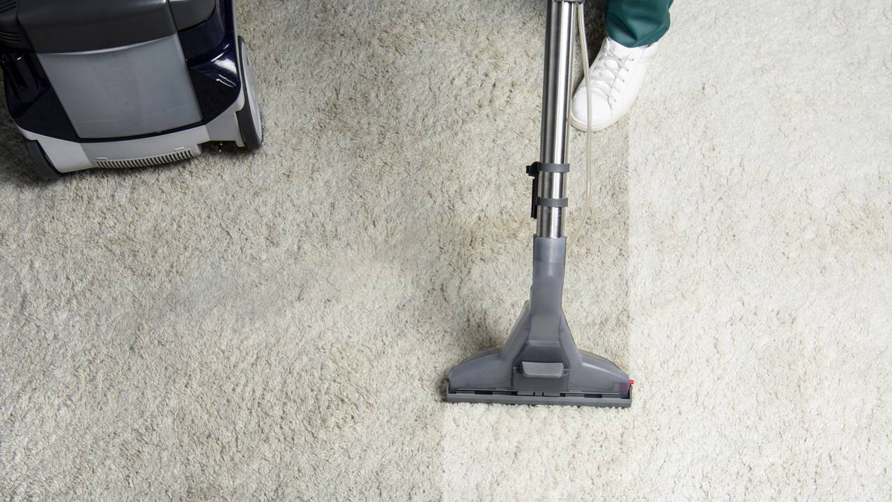 Quem tem pets em casa está apostando nessa técnica simples para limpar tapetes e eliminar cheiros sem encharcar o tecido.