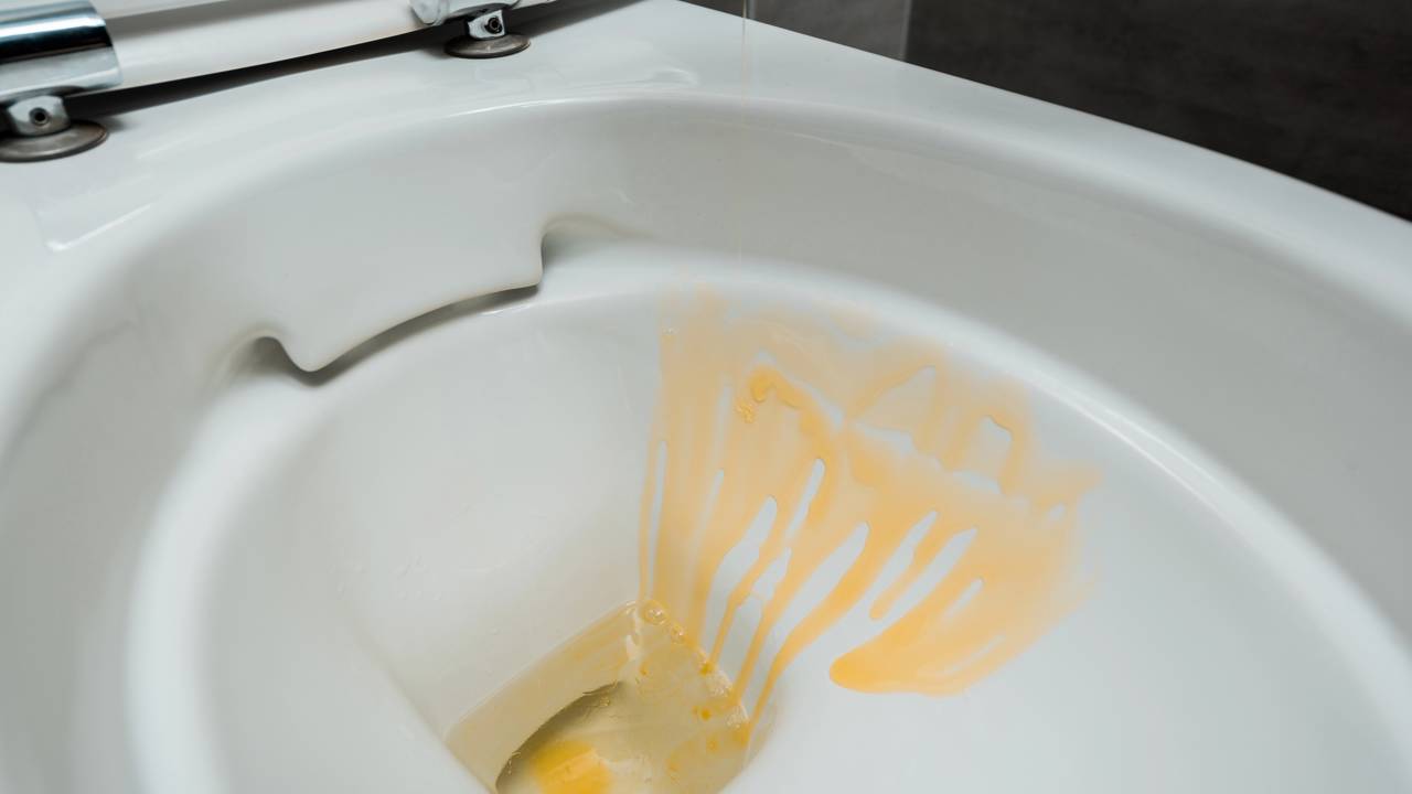Esse truque simples com detergente ajuda a deixar o vaso sanitário menos encardido e com cheiro mais agradável no dia seguinte.