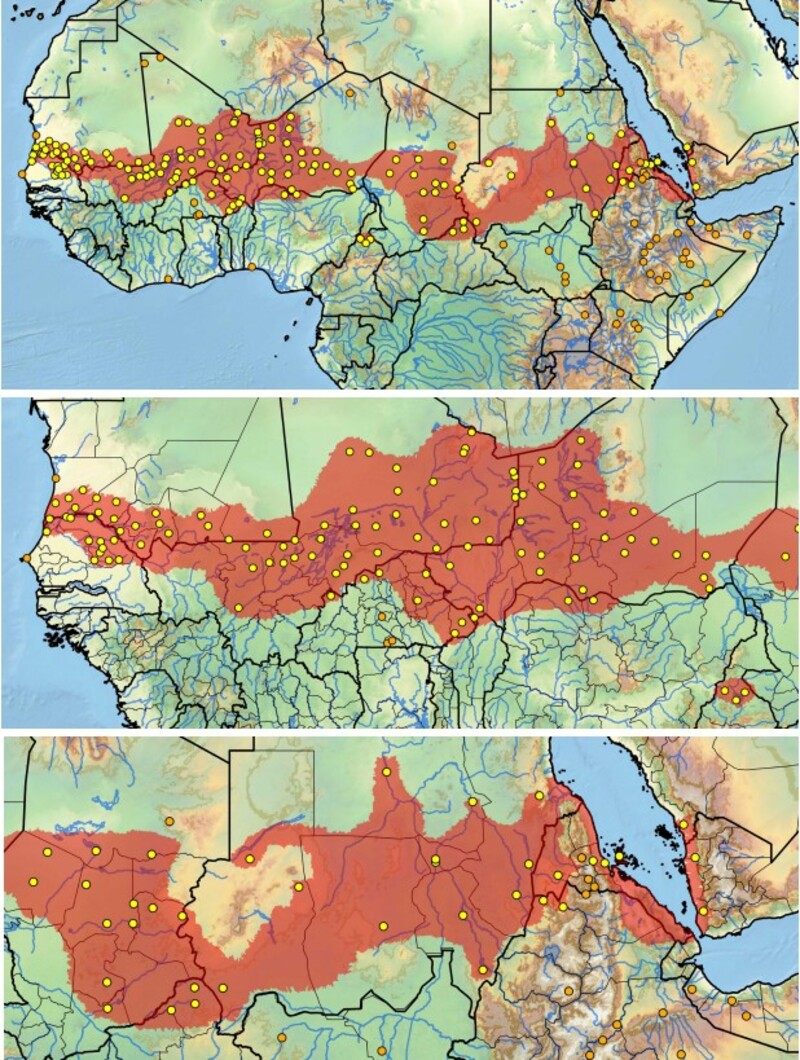 Distribuição de Centrochelys sulcata na África subsaariana e na Península Arábica. Acima: Distribuição completa, meio: Distribuição ocidental,abaixo: Distribuição oriental