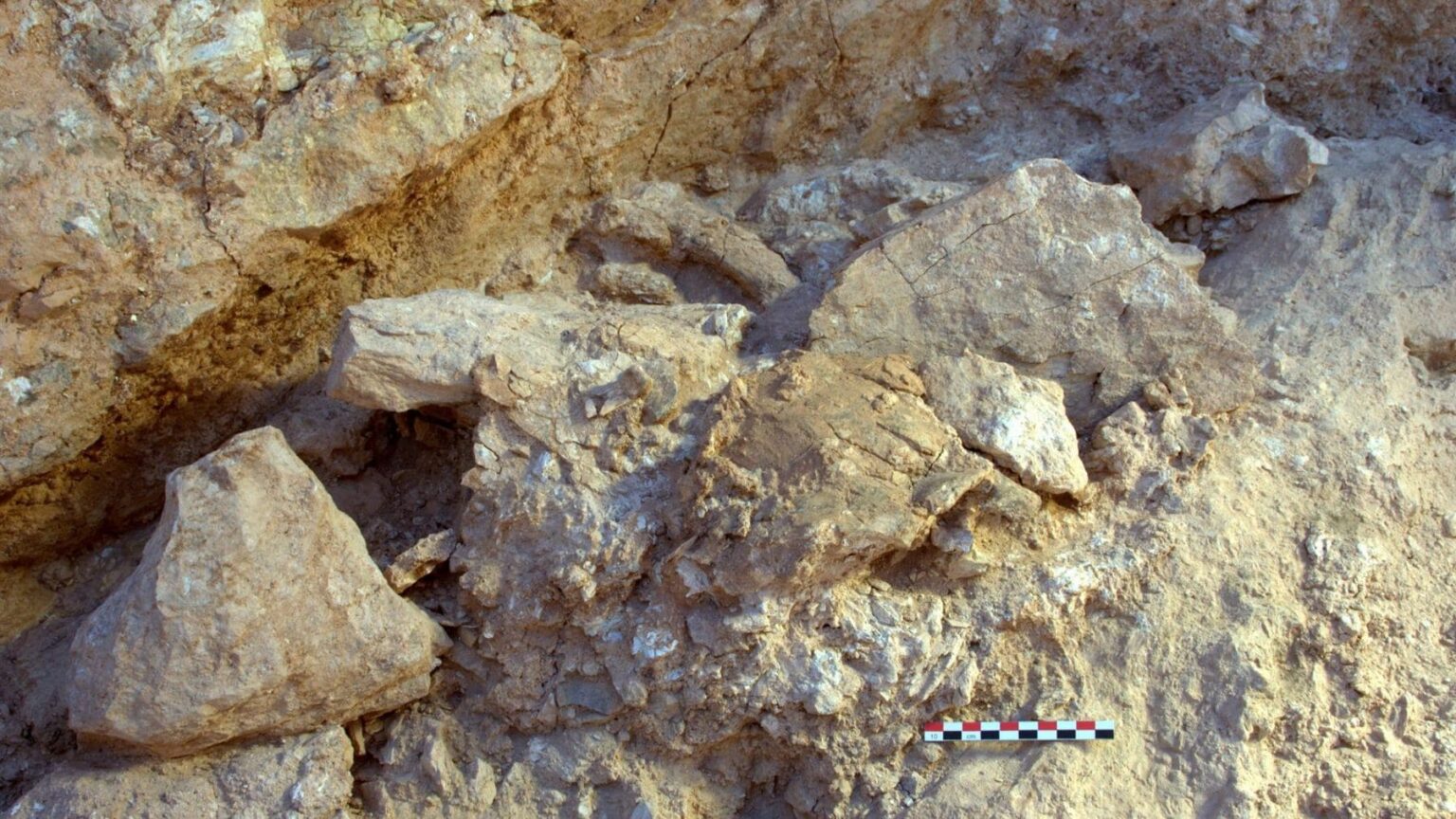 Um conjunto de mandíbulas, dentes e vértebras encontrado em uma caverna em Casablanca, Marrocos, acaba de ganhar uma data quase redonda e é muito difícil de alcançar em paleoantropologia.
