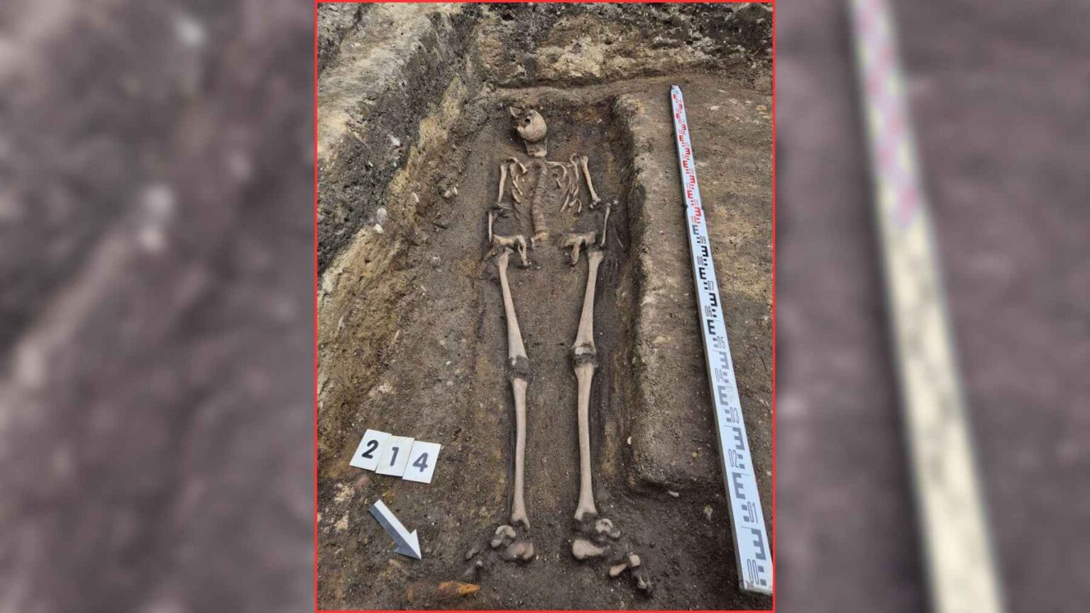 O esqueleto foi encontrado sob a laje de cavaleiro esculpida, dando aos arqueólogos raras evidências humanas do cemitério medieval de Gdańsk.