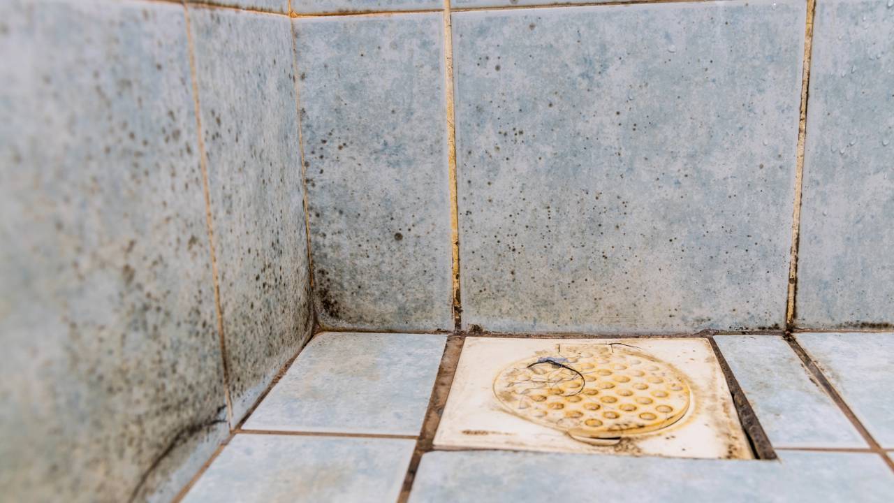 Quem sofre com mofo no banheiro encontrou uma alternativa simples para deixar azulejos e cantos mais limpos e claros.
