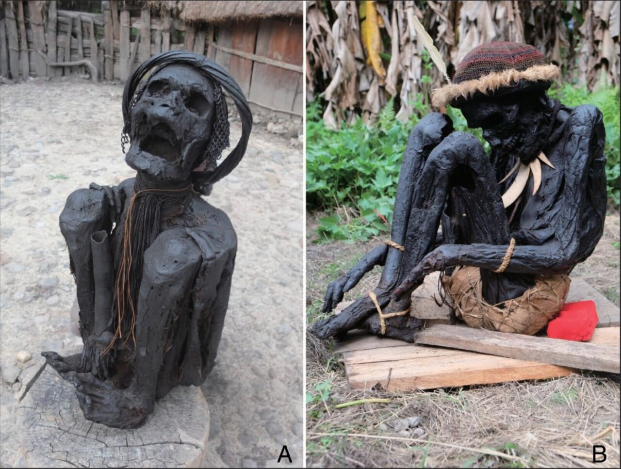 Exemplos de múmias defumadas mantidas em residências particulares em Papua, Indonésia, fotografadas em janeiro de 2019. ( A ) Uma múmia Dani hiperflexionada; ( B ) Uma múmia flexionada da Vila Pumo. Ambos os locais ficam em Wamena, Regência de Jayawijaya, Papua.