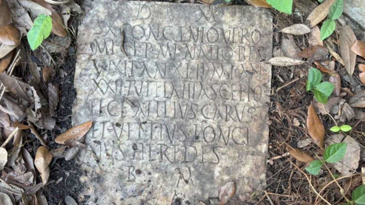 Uma limpeza rotineira de quintal em Nova Orleans se transformou em um caso de repatriação internacional depois que um casal arrancou uma laje de mármore esculpido das ervas daninhas atrás de sua casa histórica.