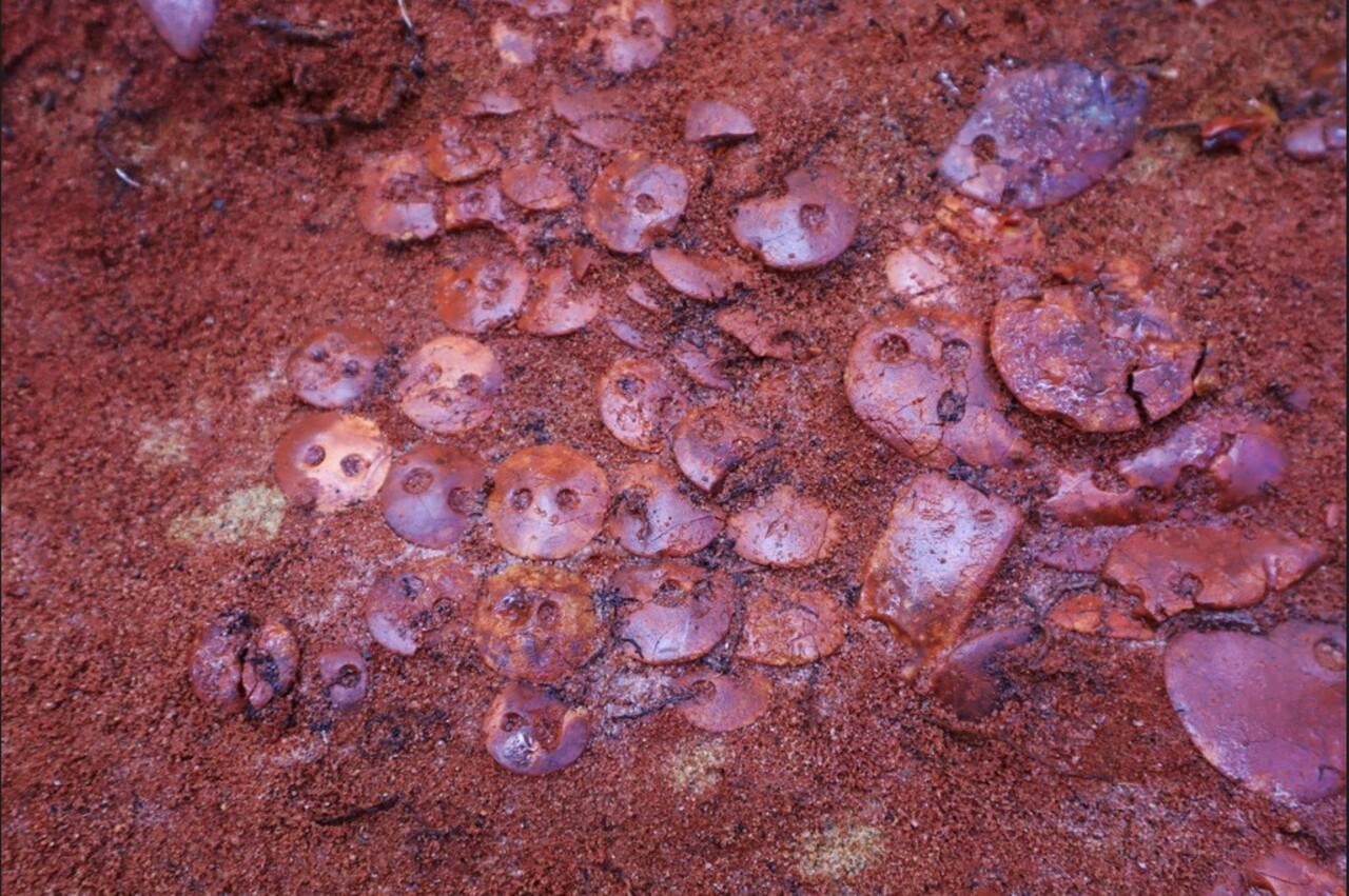 O âmbar é resina fossilizada de florestas que existiram dezenas de milhões de anos atrás.