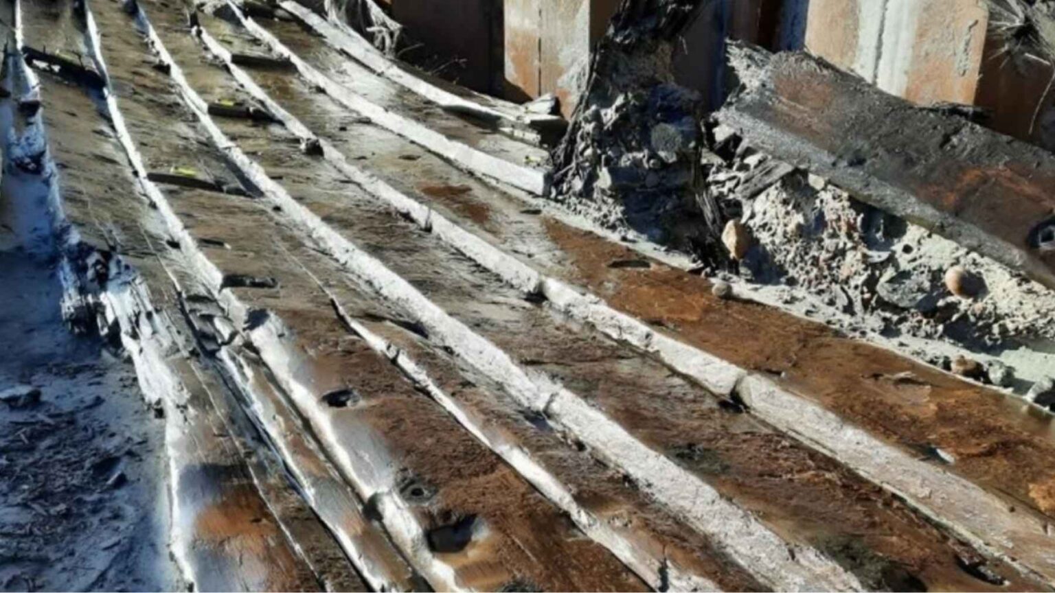 Um trabalhador expõe cuidadosamente restos preservados de navios de madeira durante obras que revelaram múltiplos naufrágios históricos na Suécia.