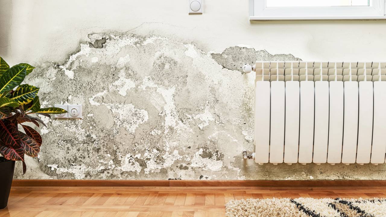 Especialistas explicam como identificar infiltração na parede antes que o problema vire obra e gasto maior.