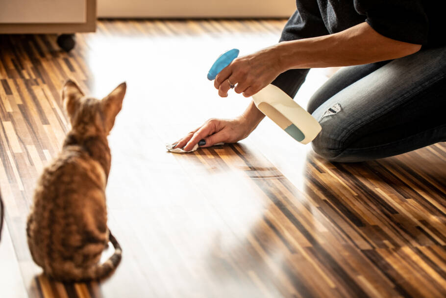 Se você também é dono de um gato, sabe que um dos principais problemas é lidar com acidentes e aprender a eliminar o cheiro de urina de gato