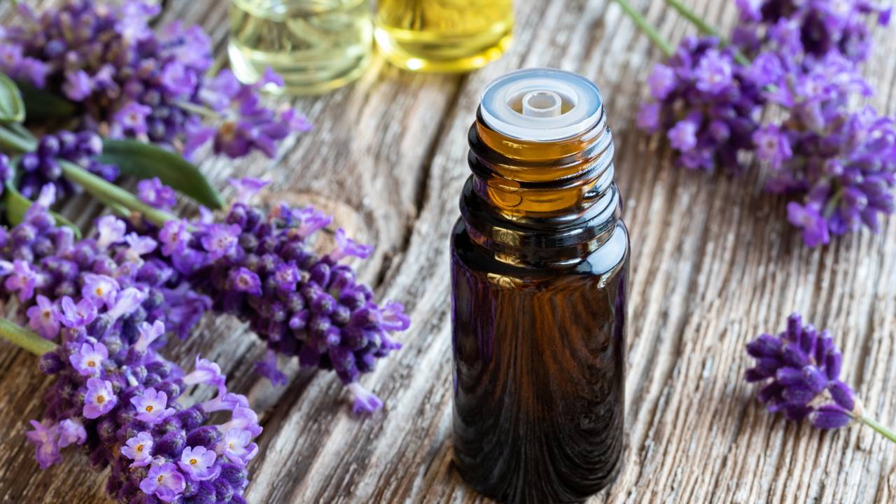 O perfume da lavanda está conquistando quem quer aliviar o estresse e transformar o quarto em um cantinho mais calmo.