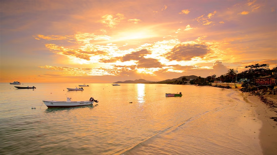 Vieques combina praias praticamente intocadas, hospedagens boutique e experiências exclusivas