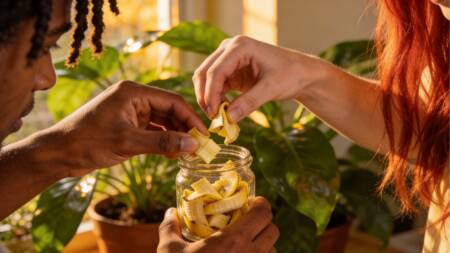Casca de banana pode ser reaproveitada na jardinagem