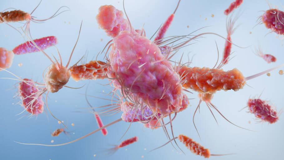 A microbiota intestinal do bebê pode ajudar a reescrever parte da história do desenvolvimento que começa antes do nascimento