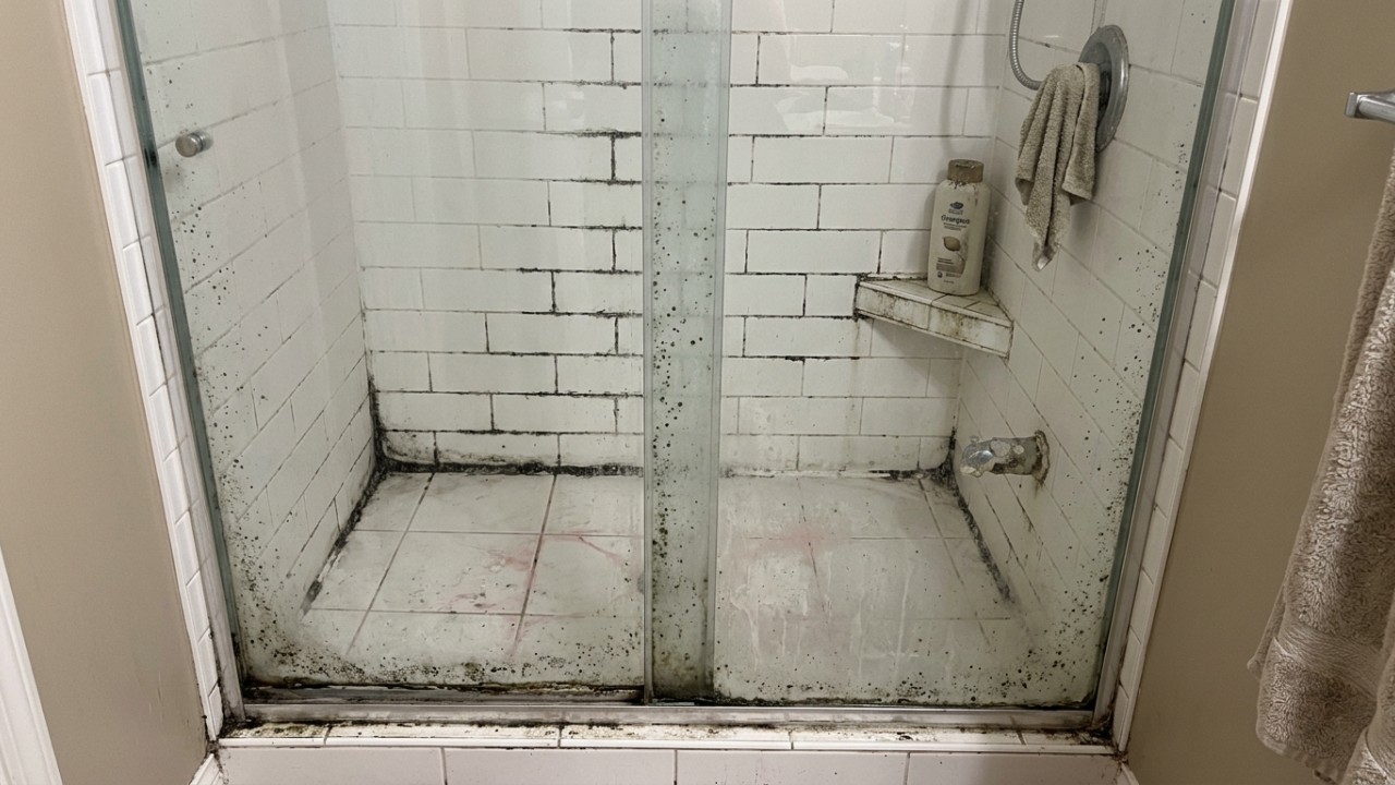 A umidade acumulada cria o ambiente ideal para a proliferação de microrganismos nocivos nas superfícies. – Imagem gerada por IA