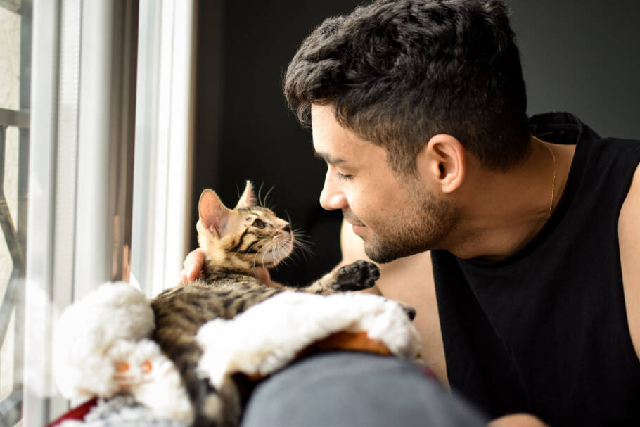 Descubra como a personalidade do tutor pode influenciar o comportamento do gato