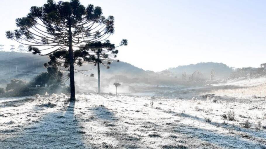 Paisagem coberta por sincelo, fenômeno associado a dias com nevoeiro, quando a temperatura varia de -2°C a -8°C