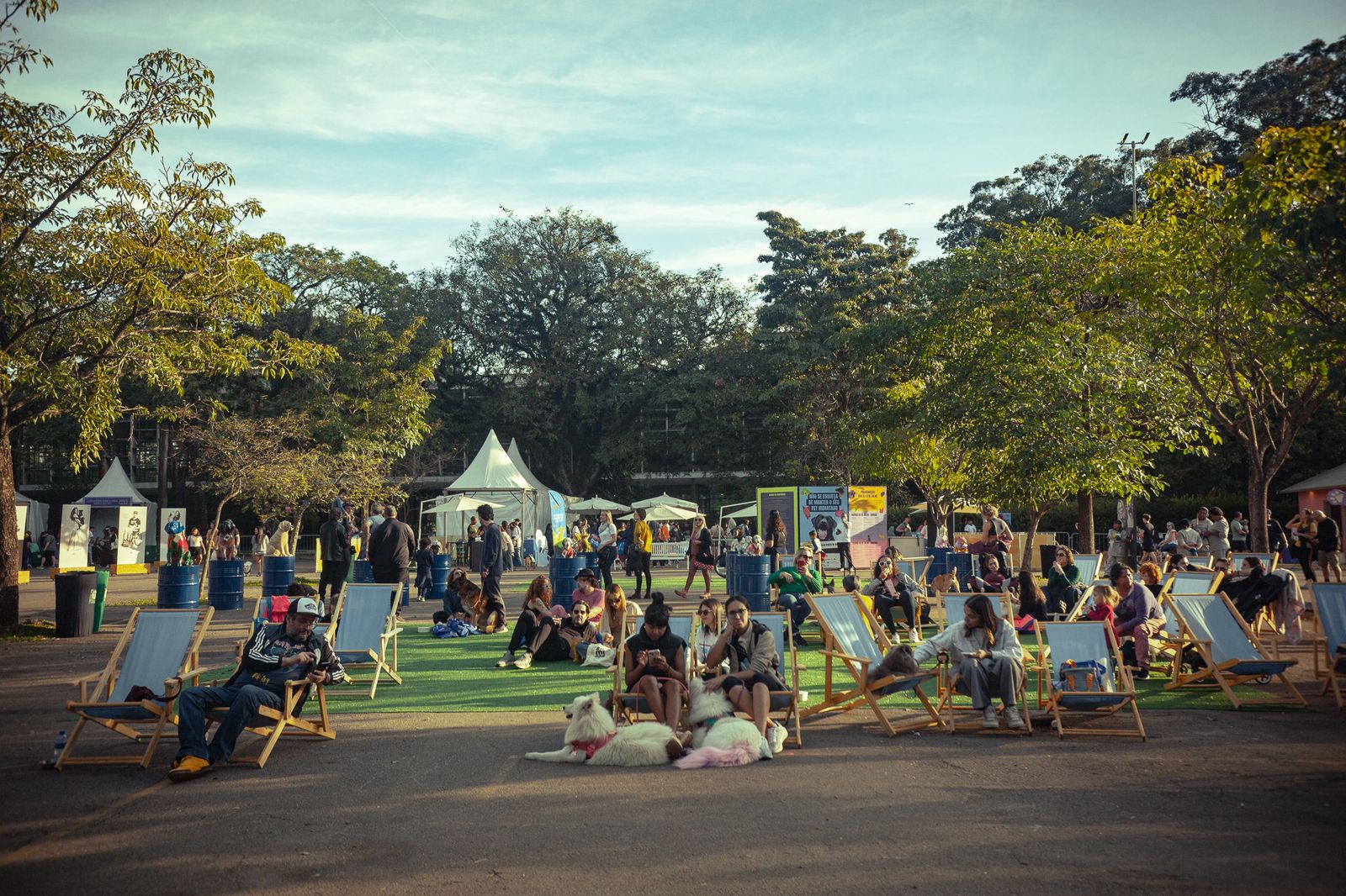 Festival Pet promove momentos de convivência ao ar livre entre pets, tutores e suas famílias
