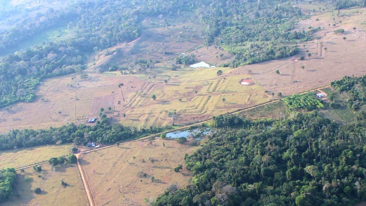 Valas geométricas gigantescas sediavam ritos comunitários e decisões de lideranças regionais.